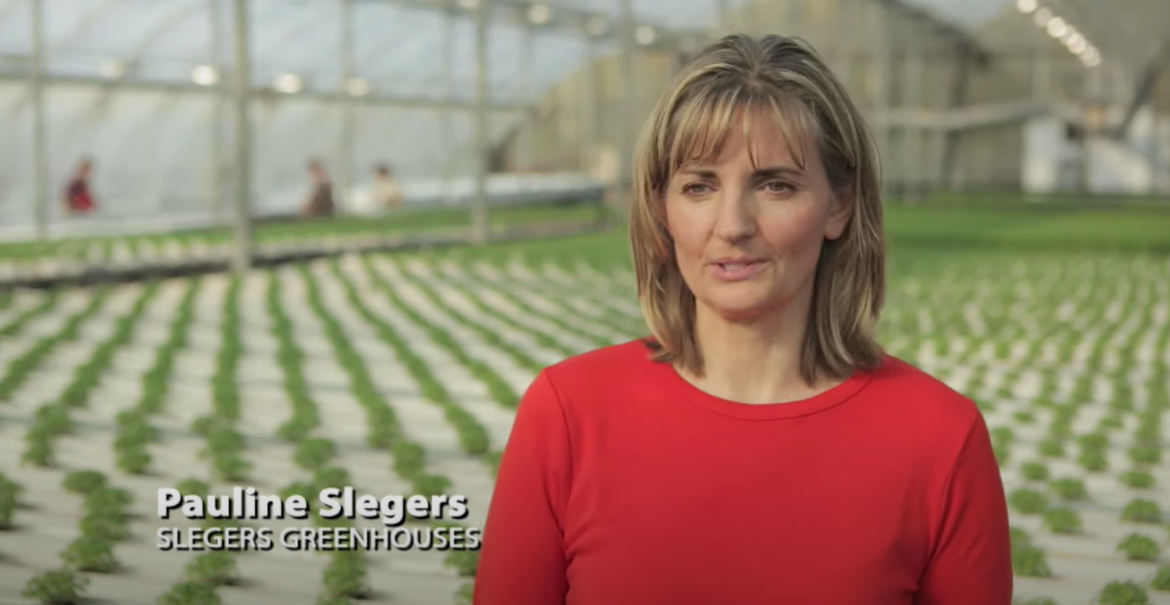 Slegers Video Image